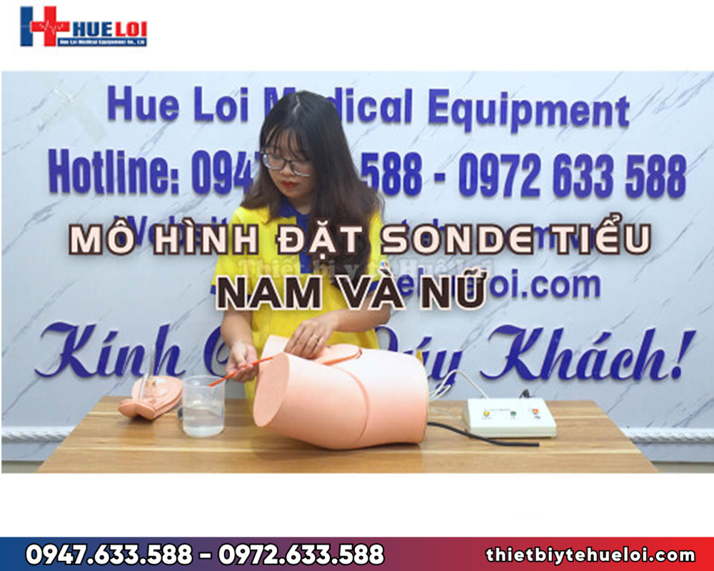 Mô hình đặt sonde tiểu và thụt tháo nam nữ